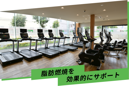 脂肪燃焼を効果的にサポート