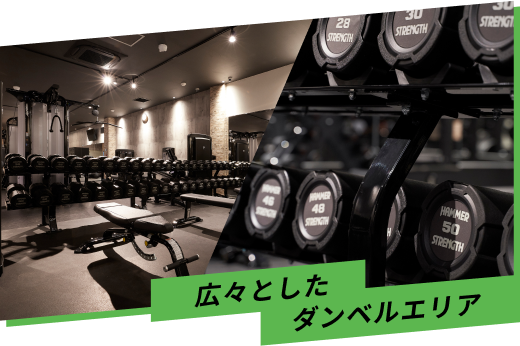 広々としたダンベルエリア