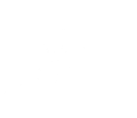 装飾画像
