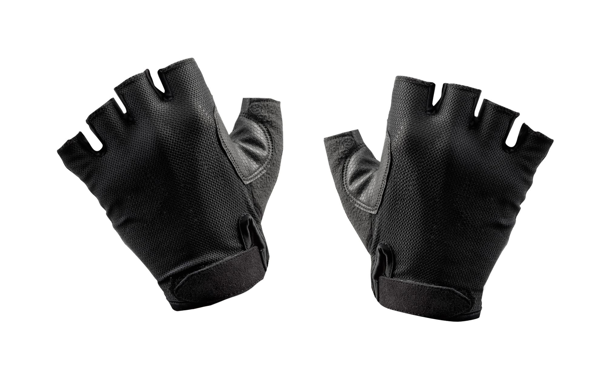 ジムグローブの画像