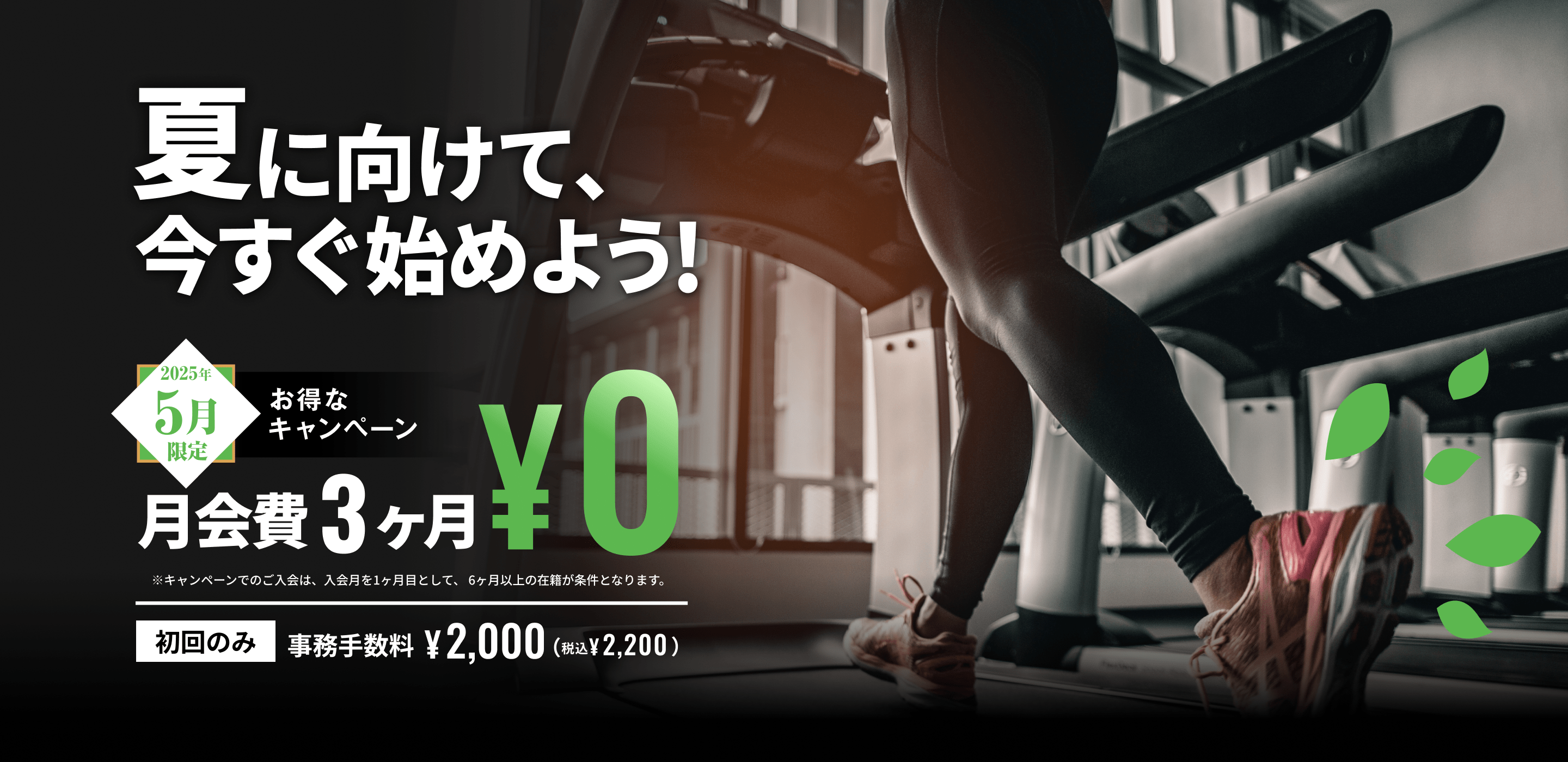 夏に向けて、今すぐ始めよう！5月限定お得なキャンペーン