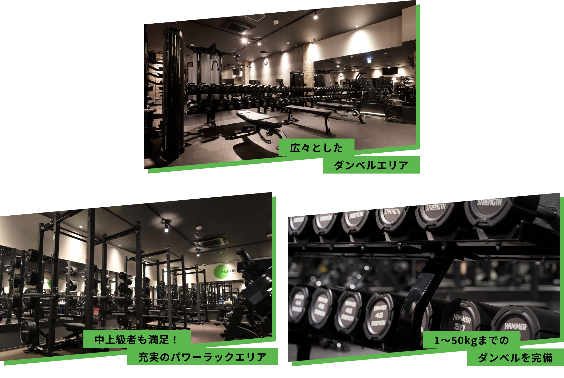 広々としたダンベルエリア 中上級者も満足！充実のパワーラックエリア 1〜50kgまでのダンベルを完備