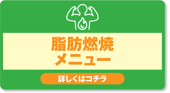 脂肪燃焼メニュー