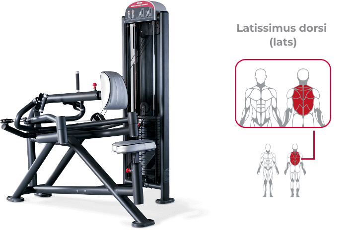 【トンデミーナ】トライセップディップマシン トンデミーナ】トライセップディップマシン LIGHT ZONE】トライ