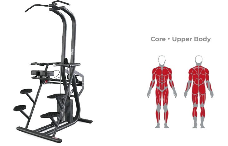 Chin and Dip Counterbalanced
