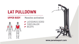 Lat Pulldown