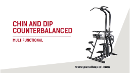 Chin and Dip Counterbalanced