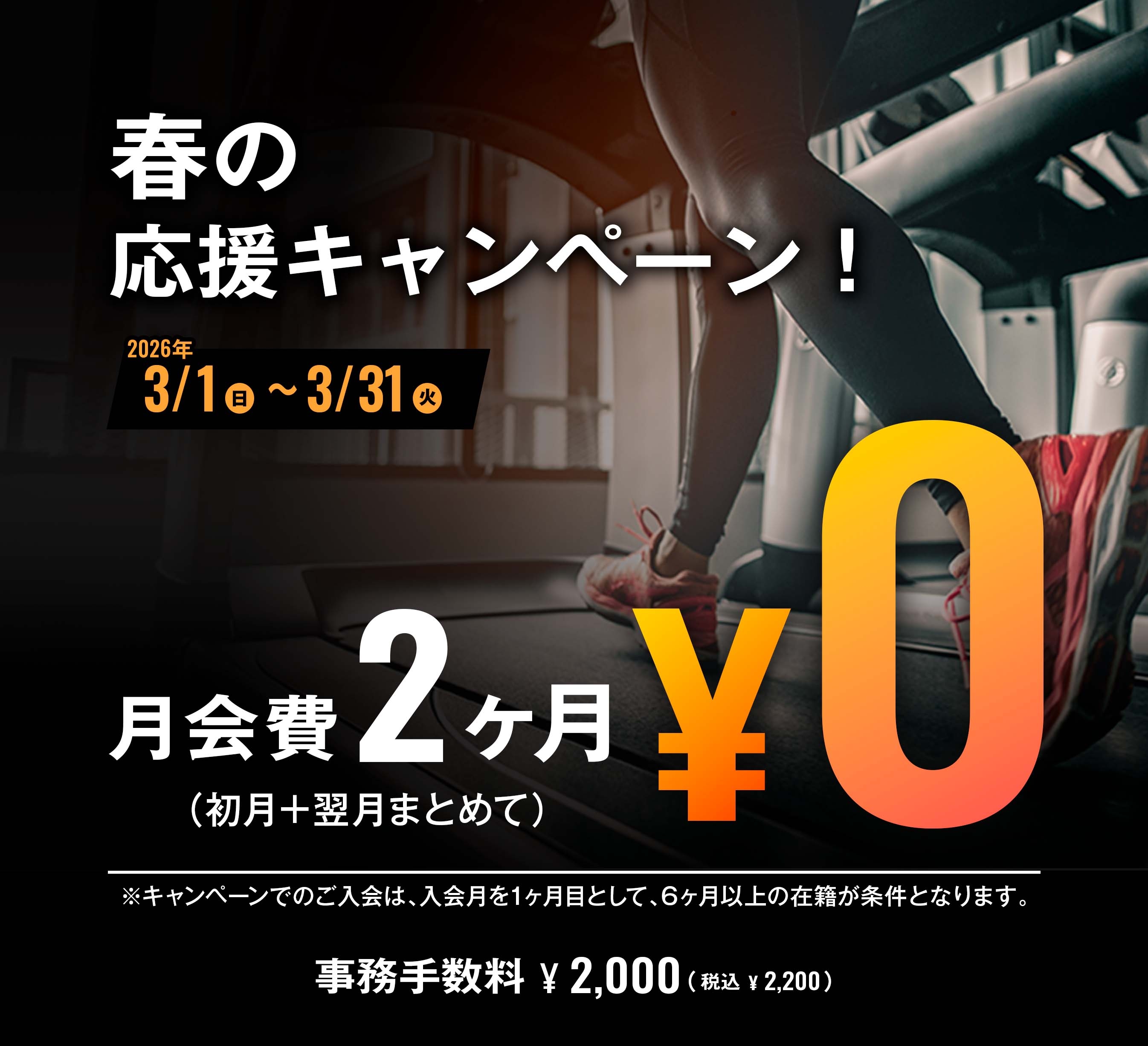筋肉パンチャー　筋トレ　マシン　札幌　西岡店 FIT365 札幌西岡】豊平区に24時間営業のフィットネスジムがオープン